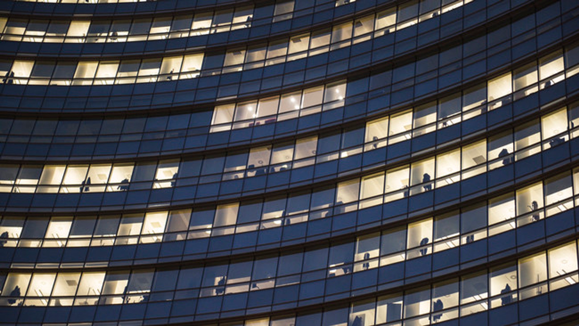 image: building windows at night